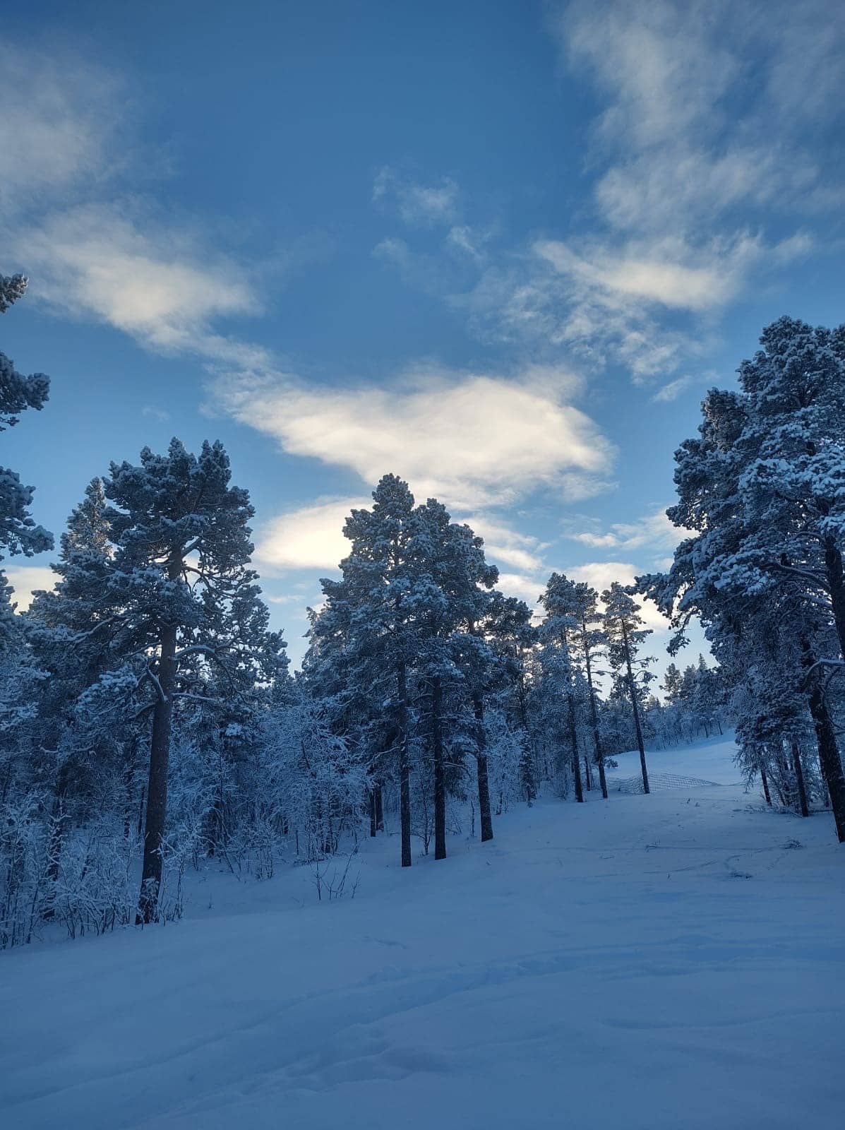 Lappland Lappland
